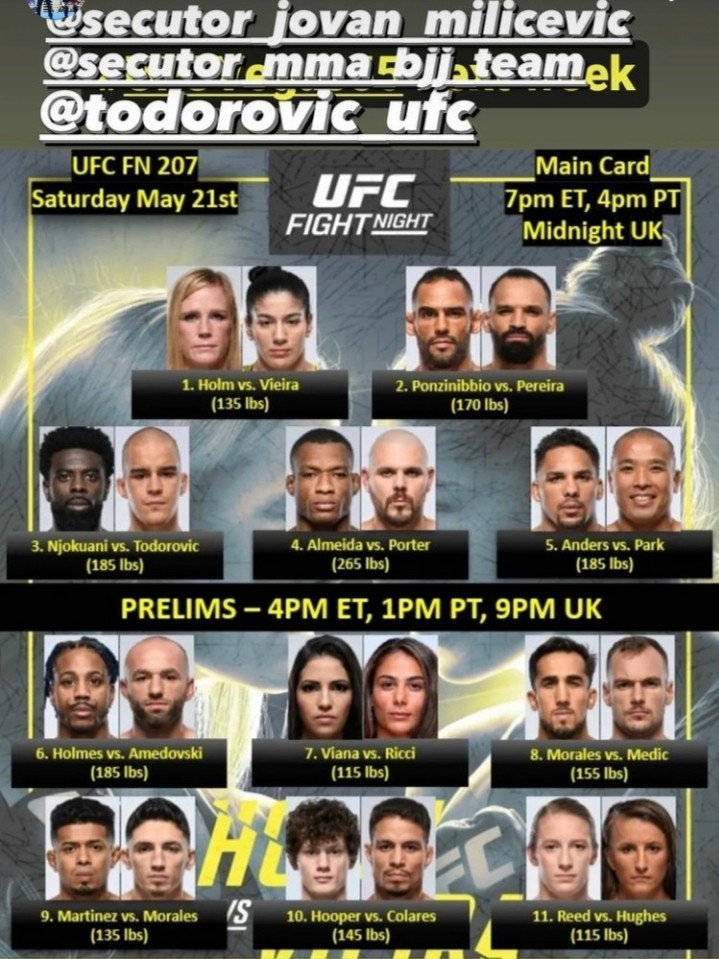 UFC Fight Night 206: Holm vs Vieira cover image